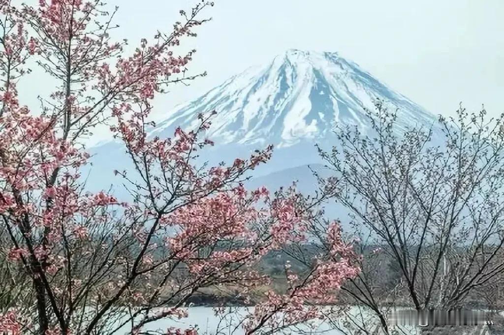 #上联：冬去千山秀，邀请对下联#
#下联：春来万水明。#
#横批：四季焕彩[苦瓜