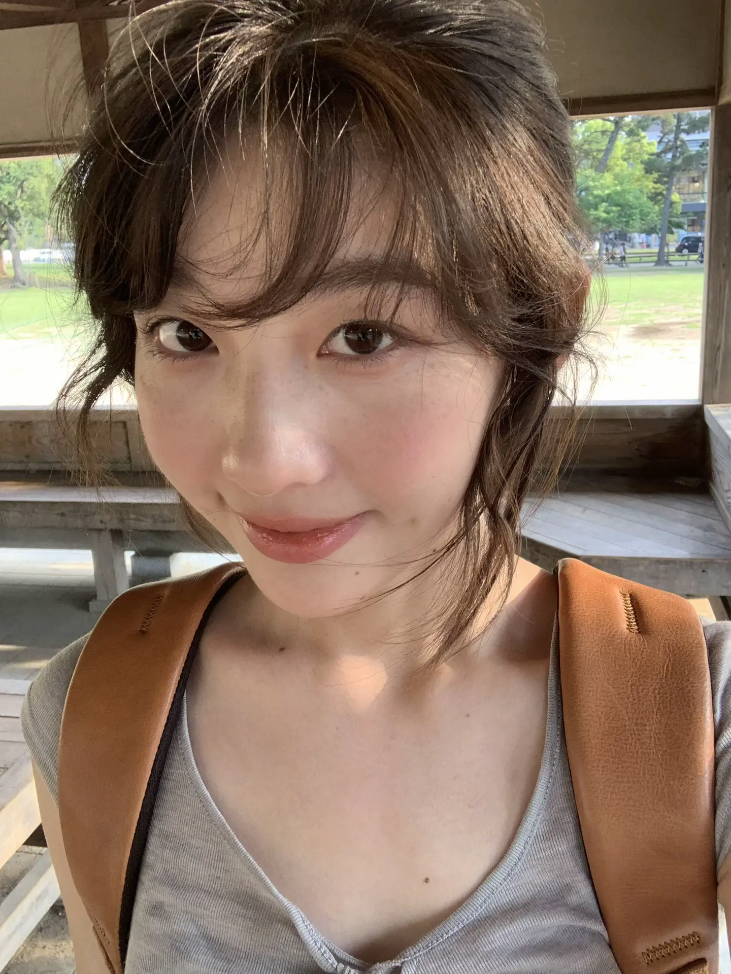 奈良的鹿真的会鞠躬