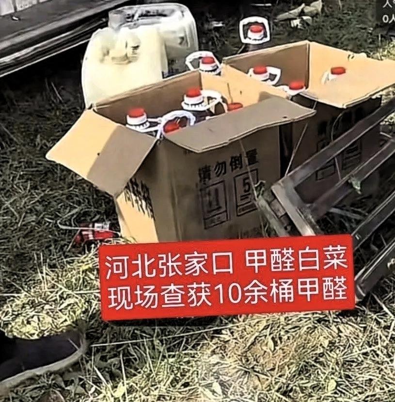 河北张家口康保县今年的大白菜丰收了，可惜大家都不敢吃了，有无良的白菜收购商，当着