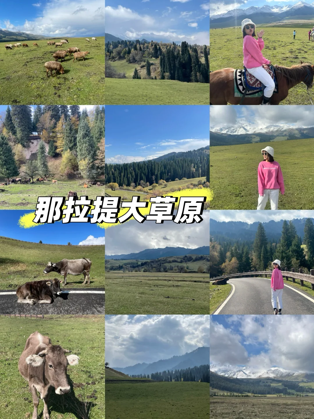 新疆伊犁｜那拉提大草原！草还好绿！值得一去！