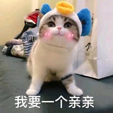 雅琪爱谈体育
