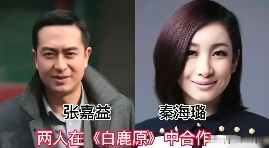 看了张嘉益和宋佳、秦海璐、闫妮、李念这些女星的合作，才发现他才是那个最会带女演员