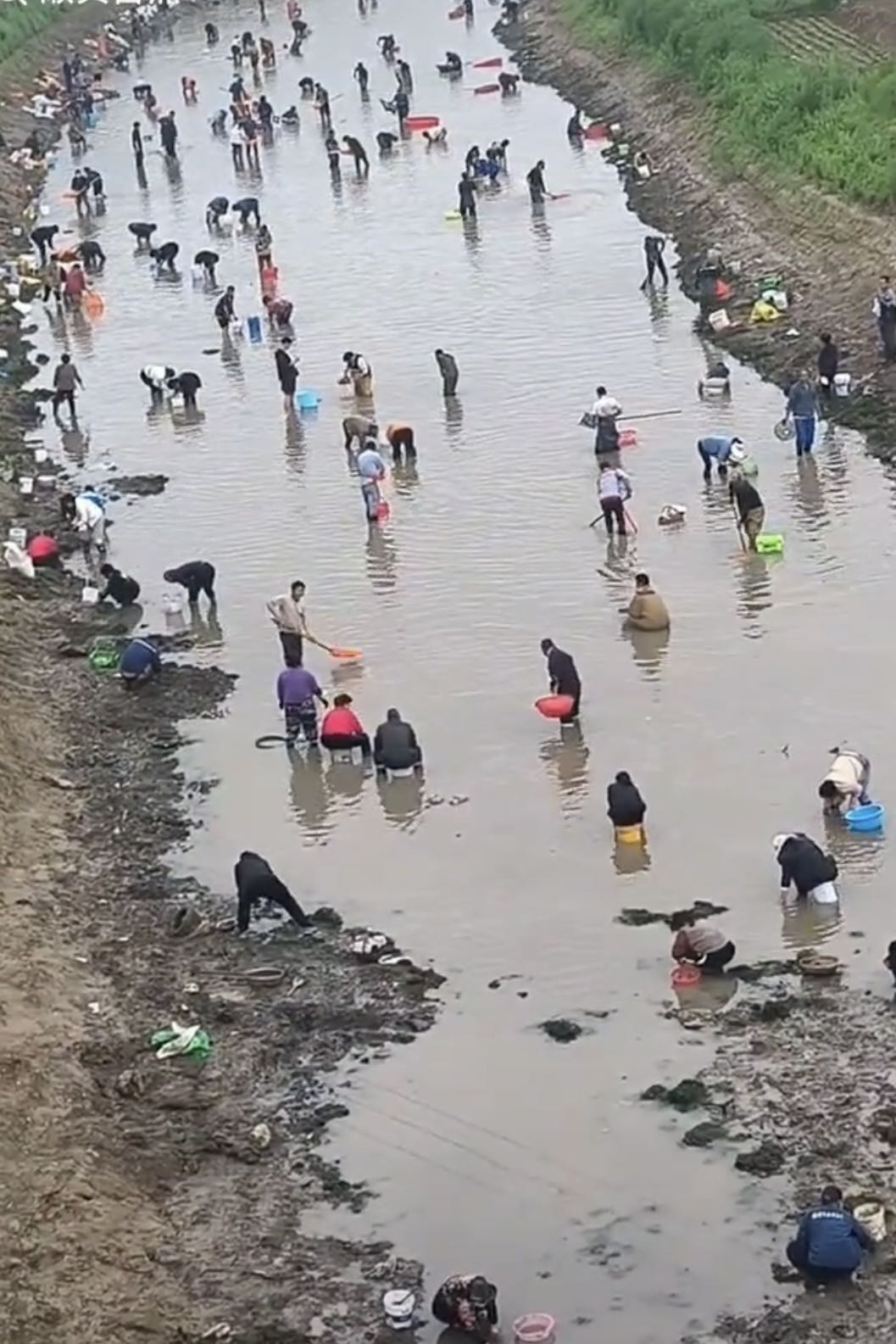 河南一地大批人员聚集河流摸金摸铜钱？镇政府辟谣：是摸河蚌