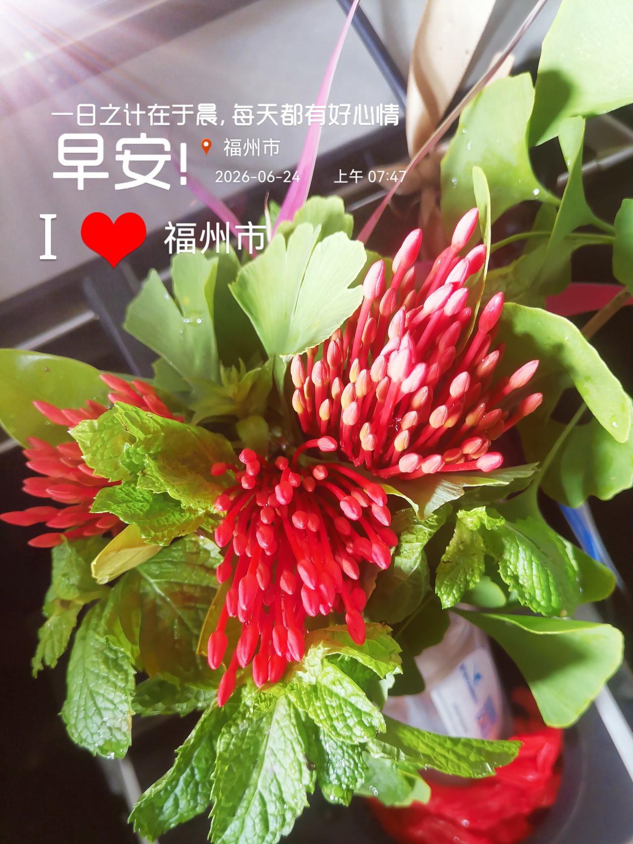 早安吉祥，幸福常伴，
诸事顺遂，身体安康。
每日祝福早安 暖心早安祝福语 暖心早