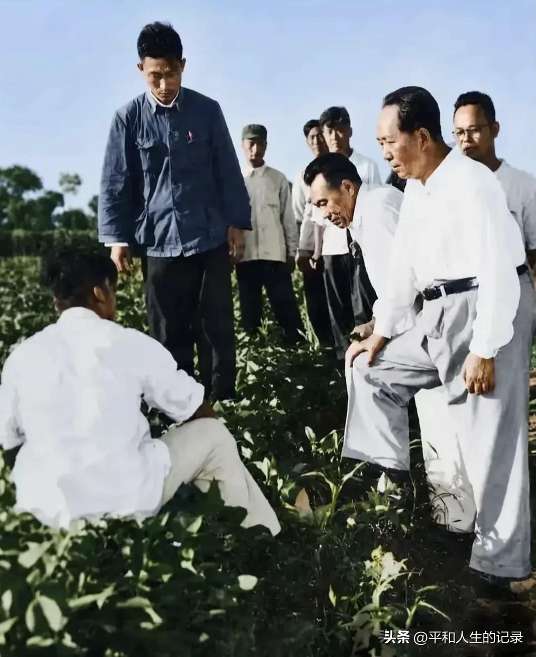 毛主席走遍祖国大地，锦绣河山更加壮丽！