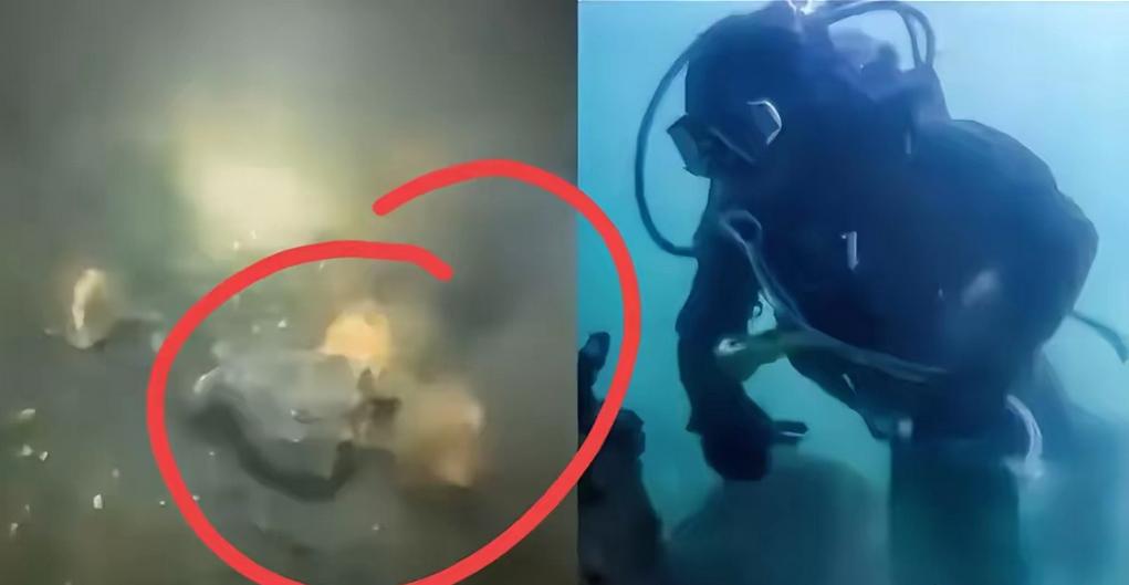 在青岛17米深的海底，潜水员樊继伟碰上了一辈子都难得一见的奇景。他眼前的礁石缝里
