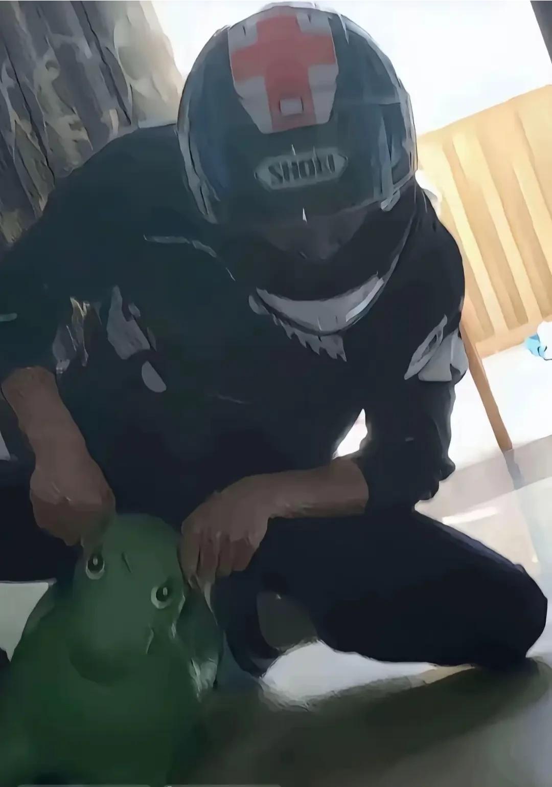 德比斯不再孤单

等我，我已经开始在家里训练了……

瓦伦丁·德比斯