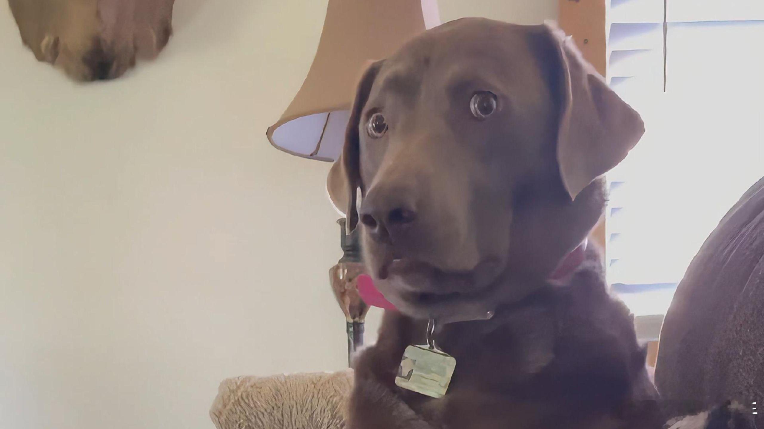 逝去的年味最怀念的不是过年的吃喝，而是那种全村、全小区都沉浸在节日里的氛围。那时