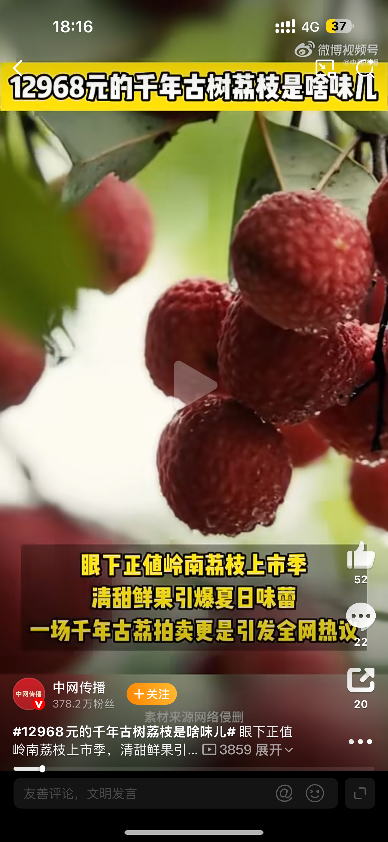 12968元的千年古树荔枝是啥味儿荔枝到底是什么味道呢？只可意会不可言传啊 