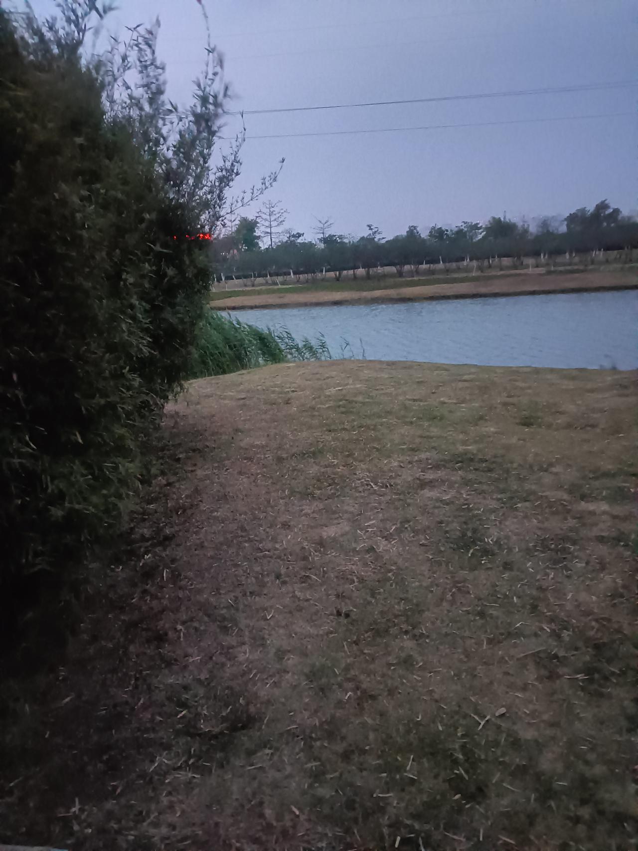 某村兄弟俩，一个北飘，一个出海当船员。多年后，哥哥做了一个梦，梦见离世多年的父母