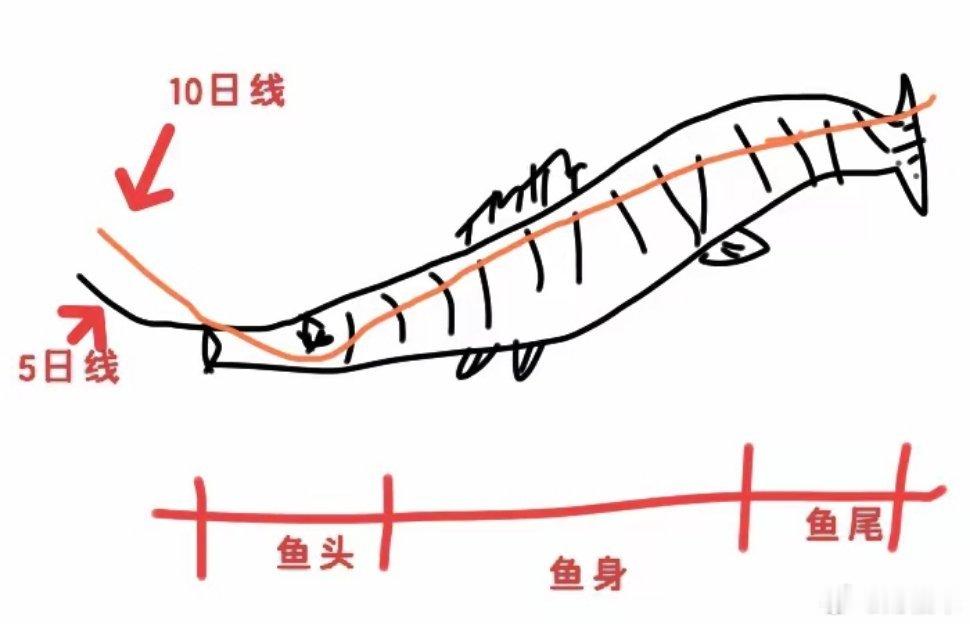 炒股最理想的状态就是买在鱼头，卖在鱼尾，吃上大几十个点，其实这都是理想状态，根本