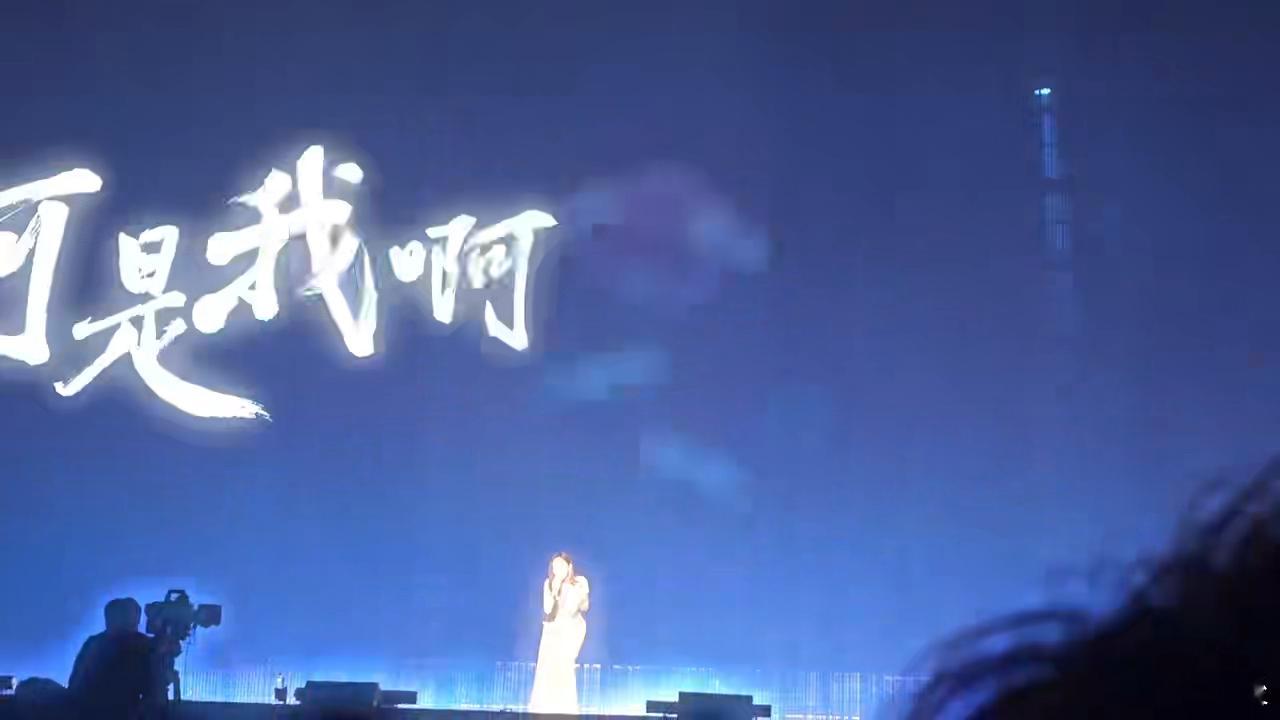 张靓颖演唱会首唱野心家  张靓颖的唱功真的没话说！今晚唱《野心家》的时候稳，现场