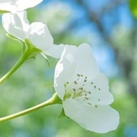 生活手记☘️过的积极是为了生活，过的糊涂是为了快乐，如果太累了，就和生活请个假 