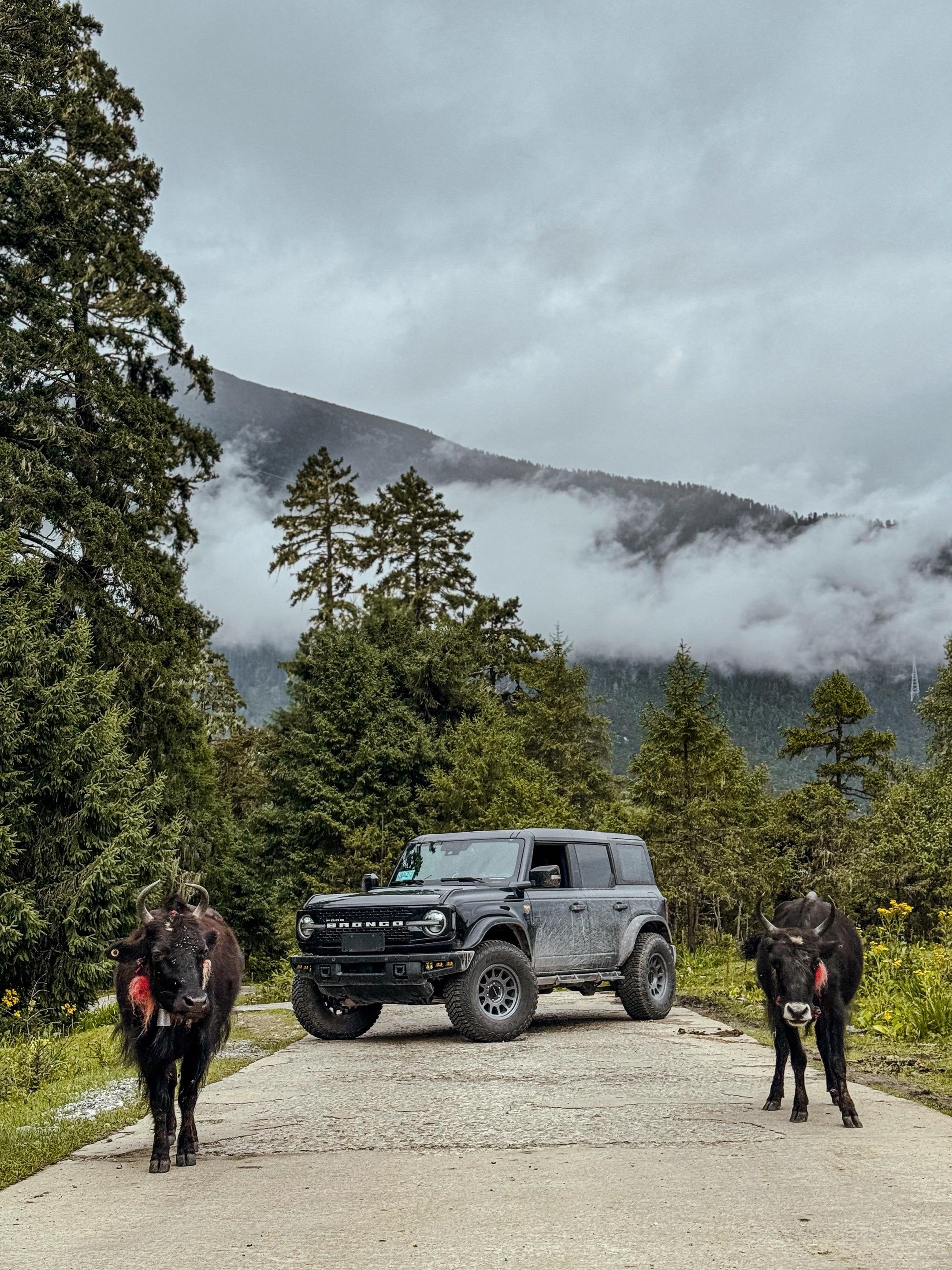 新玩具不错，很满意