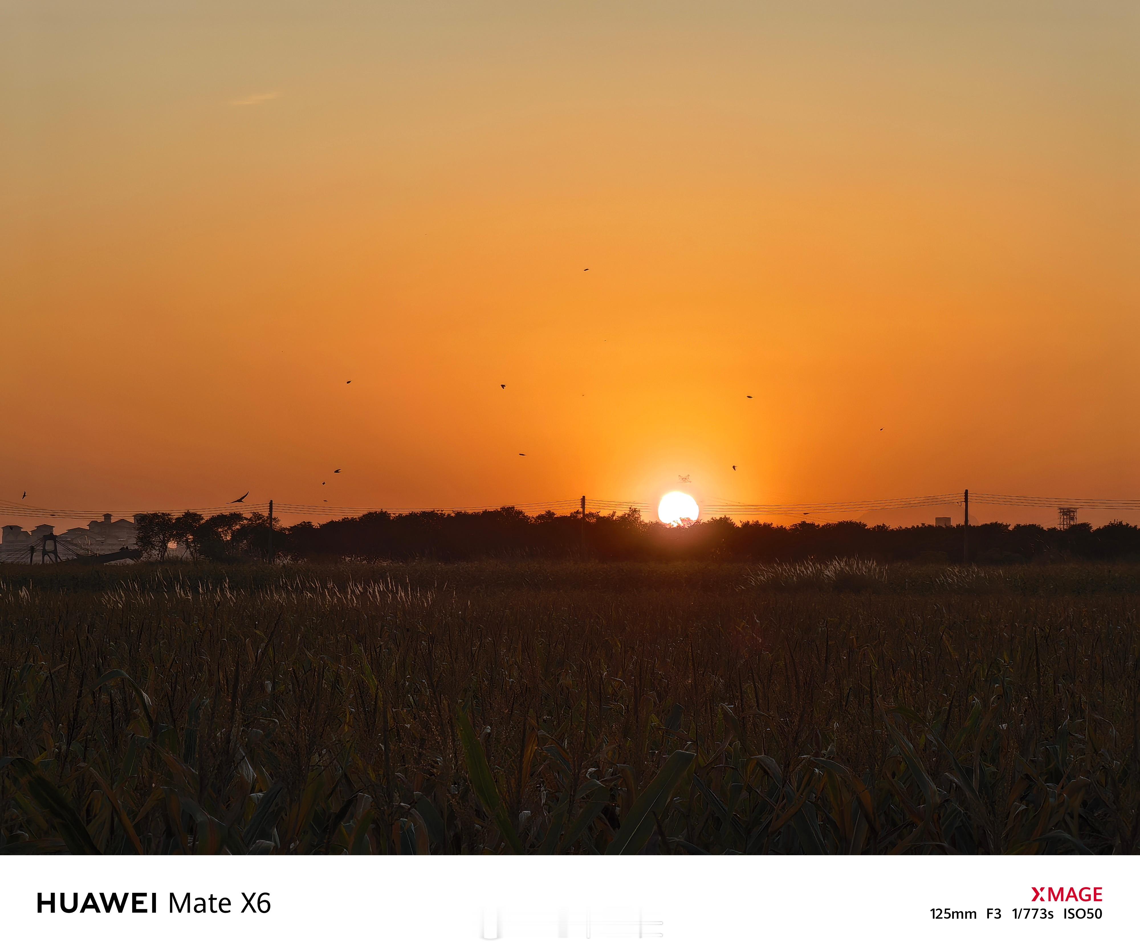 凑合一口～魅力大湾鸡又吃上了 