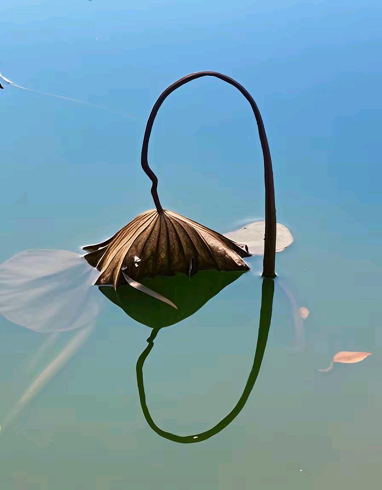 “美以的暗杀行为是人类文明倒退”的论调，为俄乌战争披上了人类文明进步的外衣。