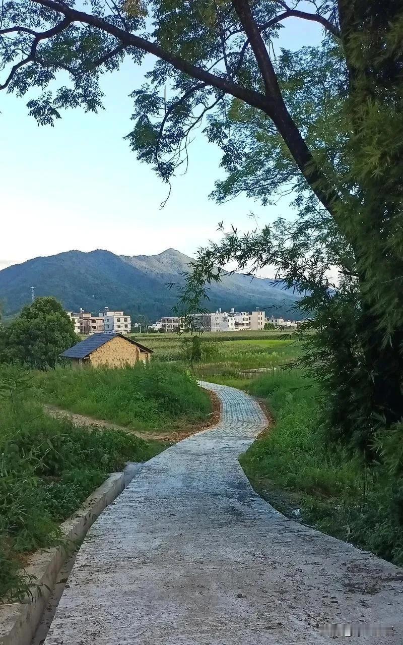 故乡如母亲的子宫

党  宏

故乡如母亲的子宫
深邃而神秘
这里有血液的温度