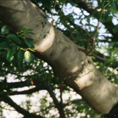 每日一善  🩵🩷阳光信用 攀登启示巅峰不在云深处，在每一步踏碎荆棘的足印里。