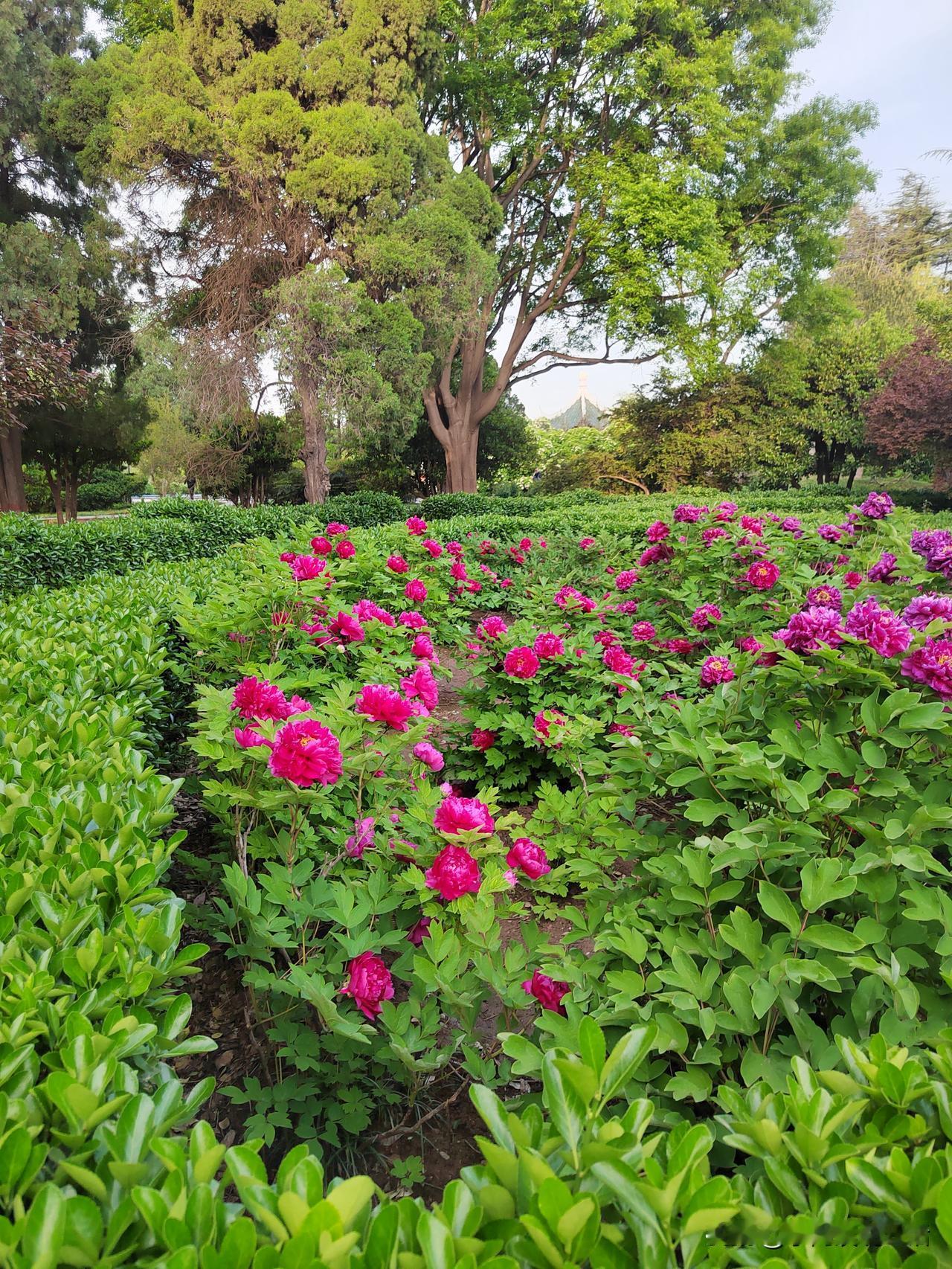 我对自己的退休金1万个不满意！
我感觉太低了！
我的退休金应该是全国倒数的水平！