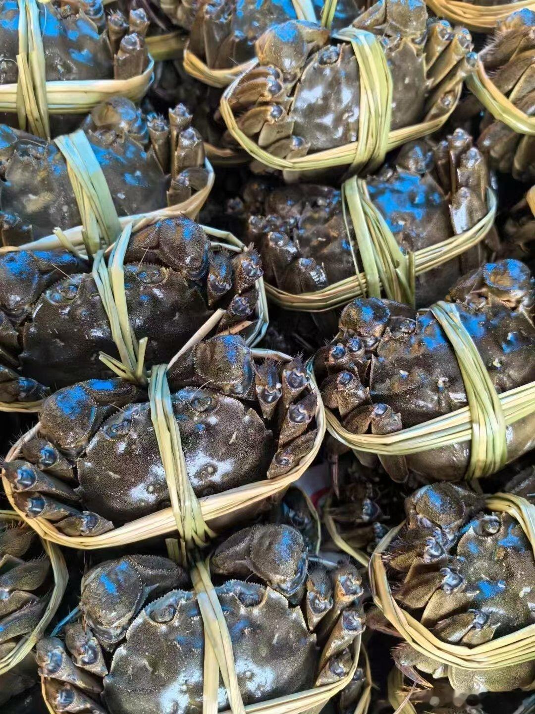 阳澄湖大闸蟹有了平替海归程序员回村养蟹，直接搞出阳澄湖大闸蟹平替，年销千万！这反