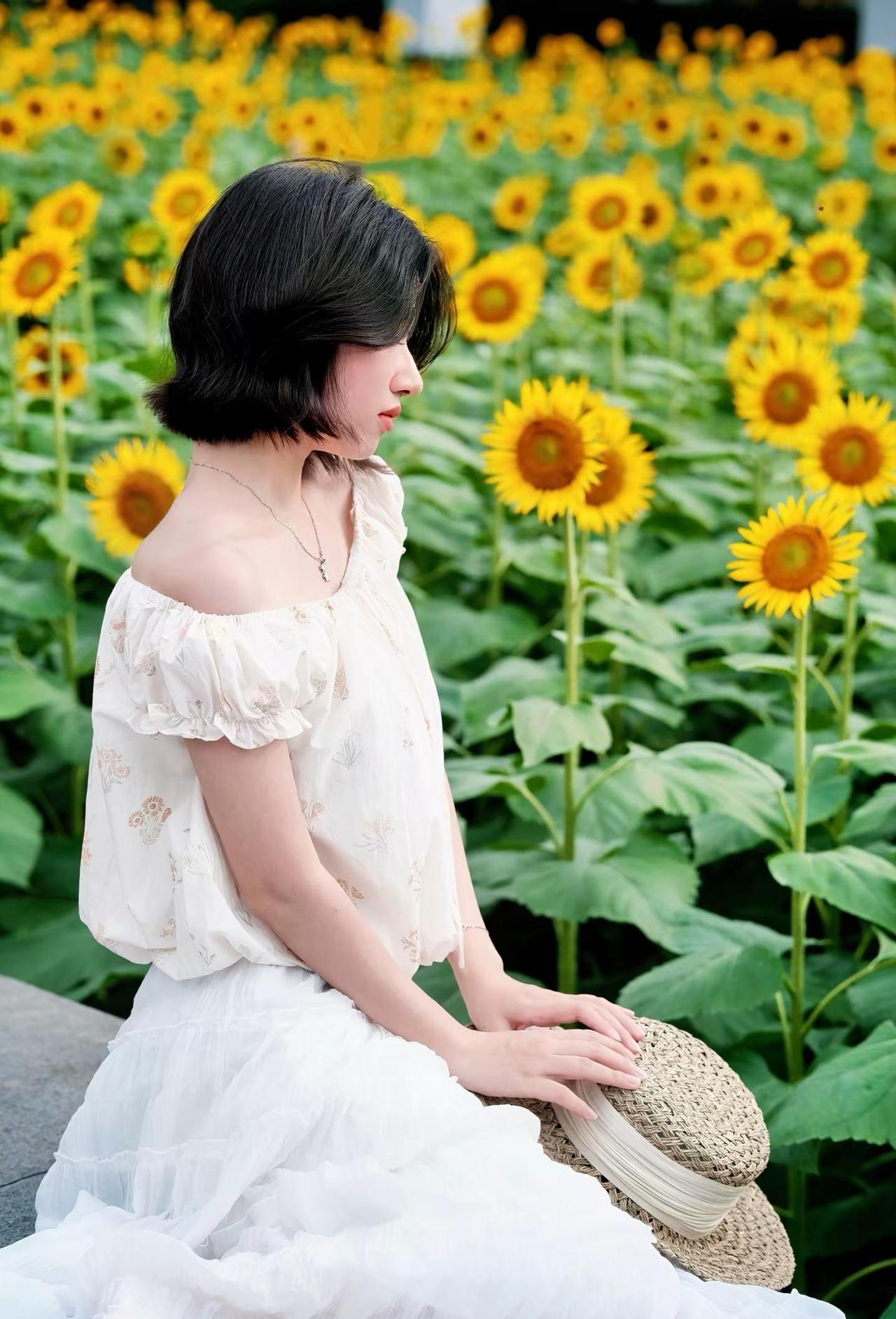 琶洲向日葵🌻花田里的小太阳🌞。比人还高的向日葵🌻还有很多小蜜蜂🐝而且在城