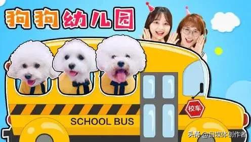 上海狗狗也有幼稚园！幼师团队坐镇，百元托费解锁毛孩子快乐日常
 
魔都养宠圈又出