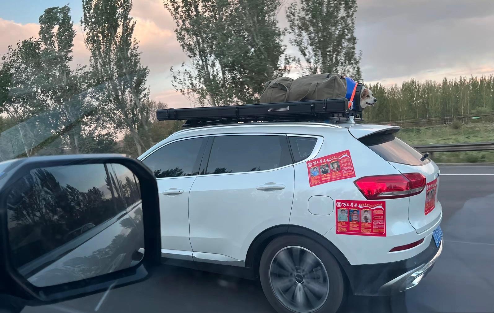 第一眼：狗挺遭罪第二眼：先生大义