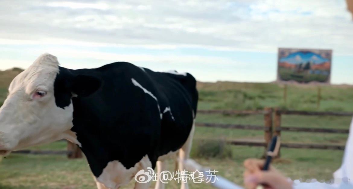 靳东上演乌兰布和大地戏剧特仑苏会员日大馈赠  当黄沙退去，当草木生发，大自然便是