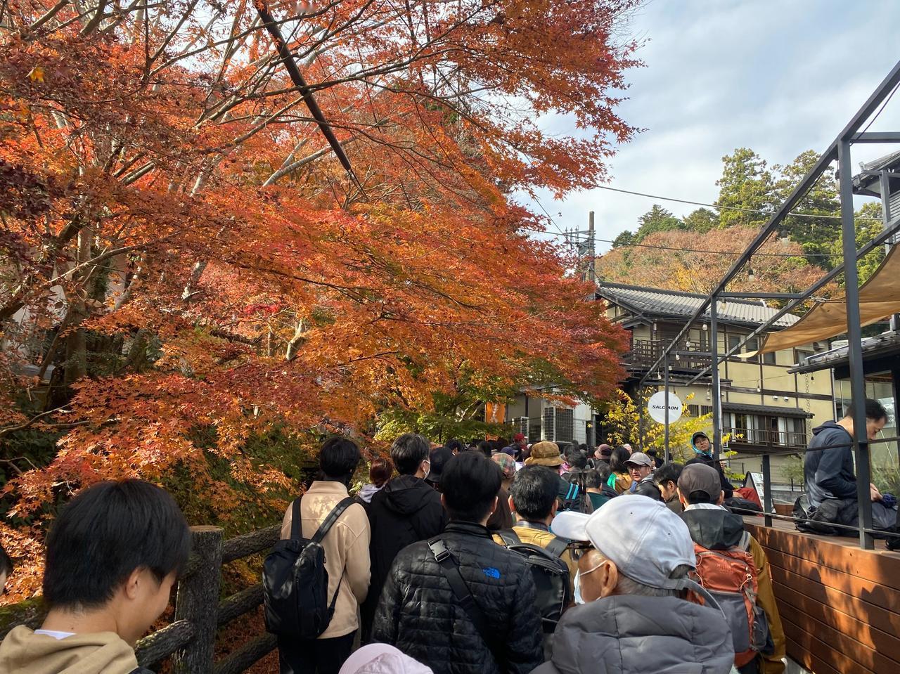 11月23日（周日）三连休的第二天。
一直听东京同事说，以前学校的春游经常组织去