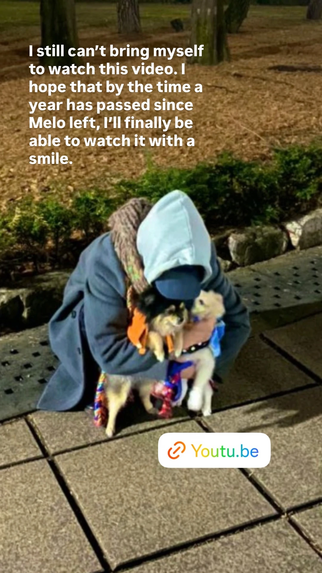 想念Melo😔
