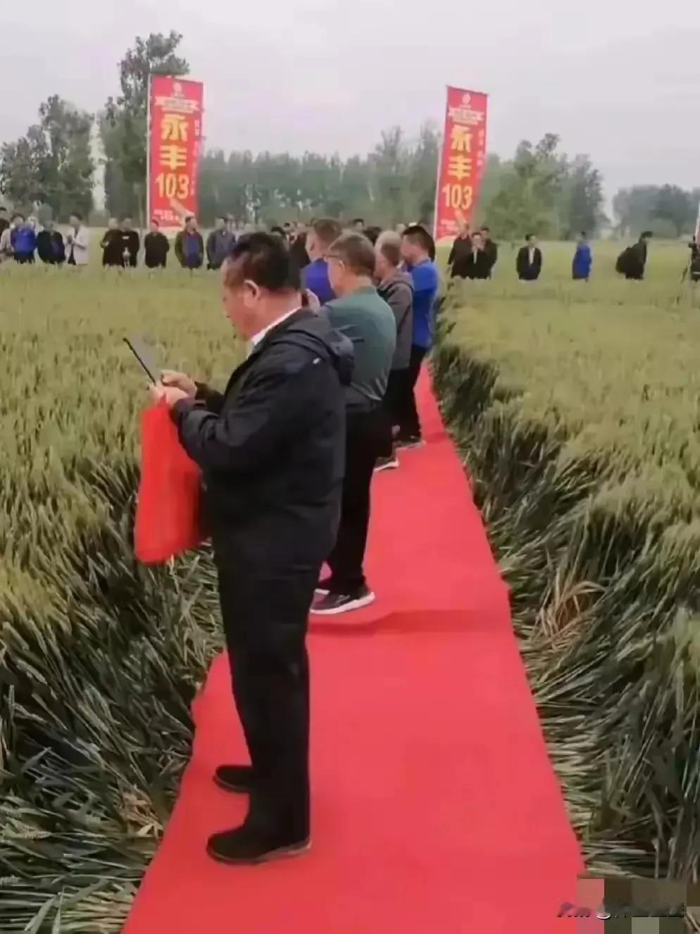 专家下地是好事，关心一下农业的收成，讨论下一步的发展，提提建议很必要。但是，在植