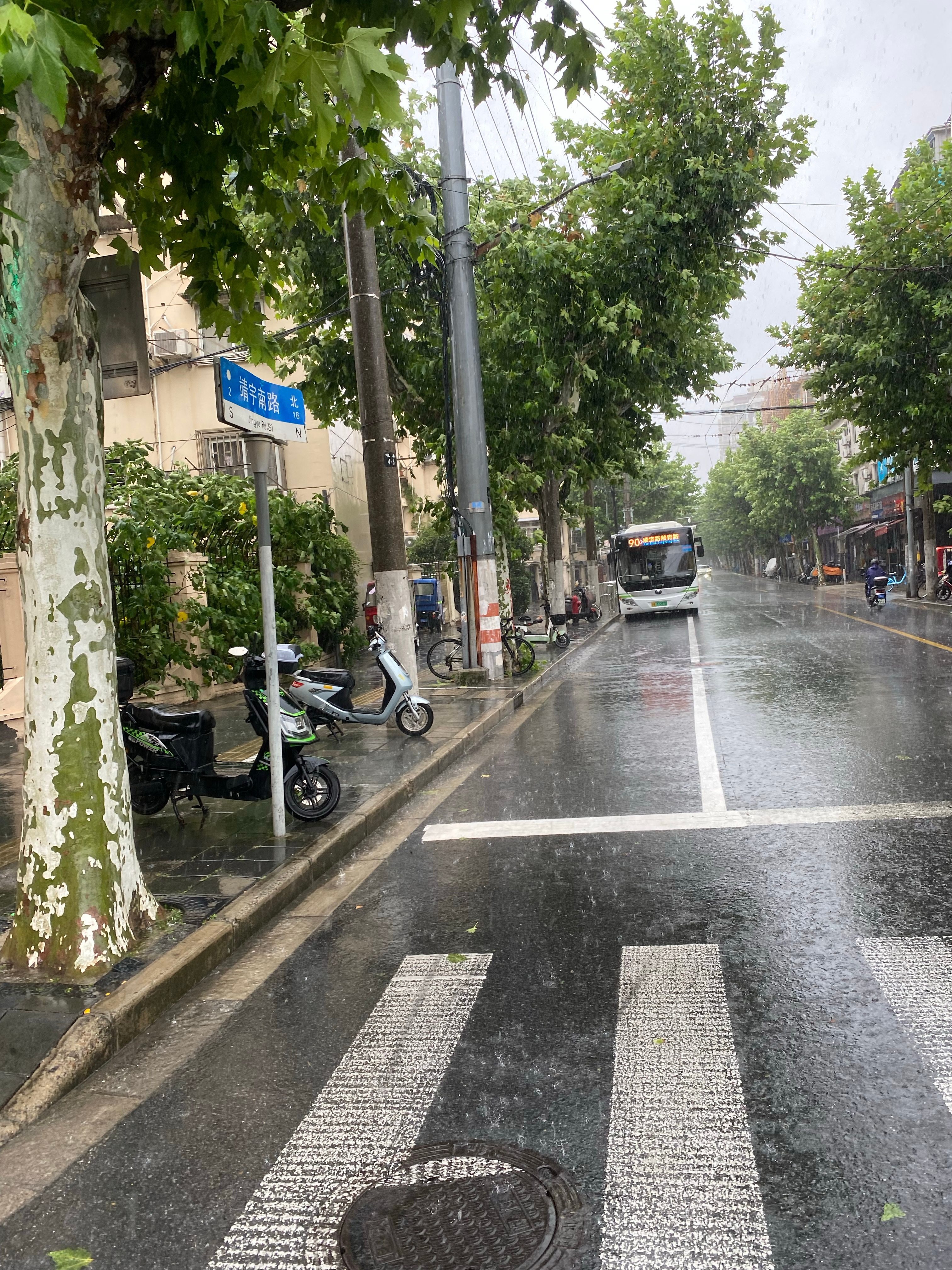 白海豚提前登陆早点来早点走，挺好的。明天还要上班呢台风在近海速度从预期的每小时1