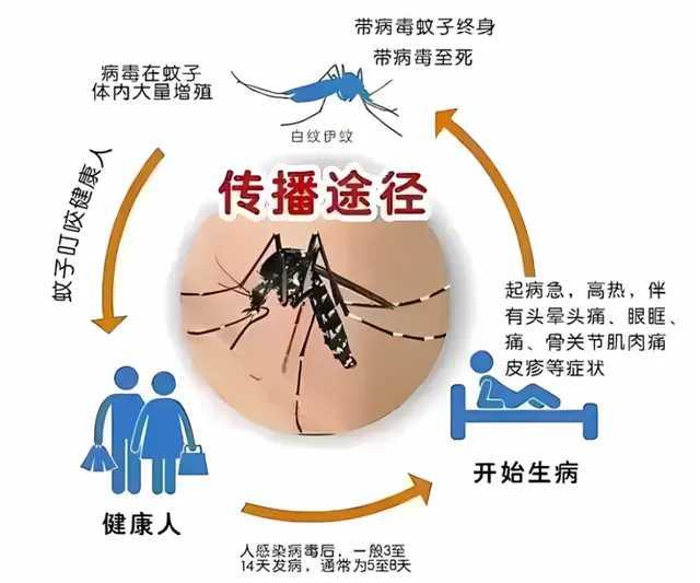 【多国突发，病毒施虐，巴西登革热疫情暴发创纪录，紧急状态席卷多地】

巴西卫生部