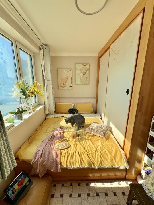 59岁的老妈☀️一人一猫住在60m²的阳光小家～