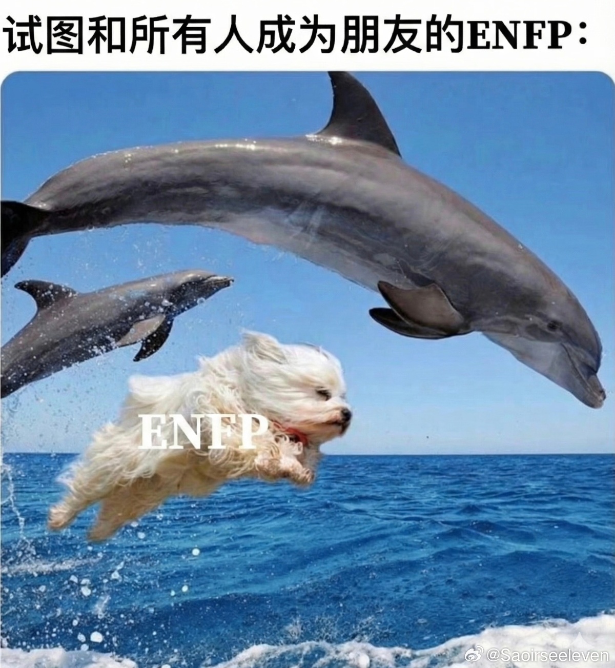 我看这段要被笑晕了，十秒钟问了一堆问题没剪出来横着飞一句有效回答，完全是p2 