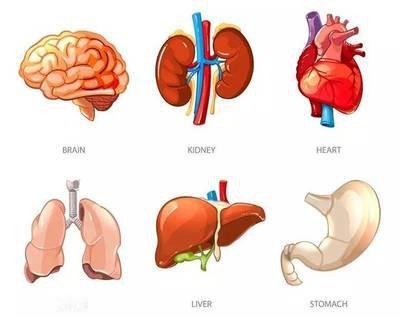 很多人总觉得 “干”：嘴唇裂、喉咙干、鼻子结痂、眼睛涩、舌头燥，刚喝进去就没了 