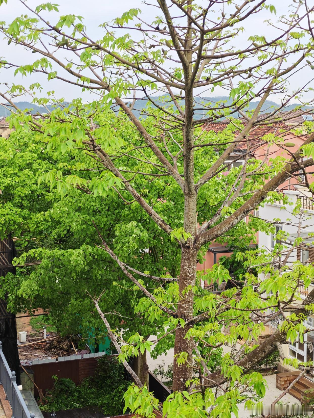 暮春清风，收藏美好，散去疲惫，舒展心事～ 