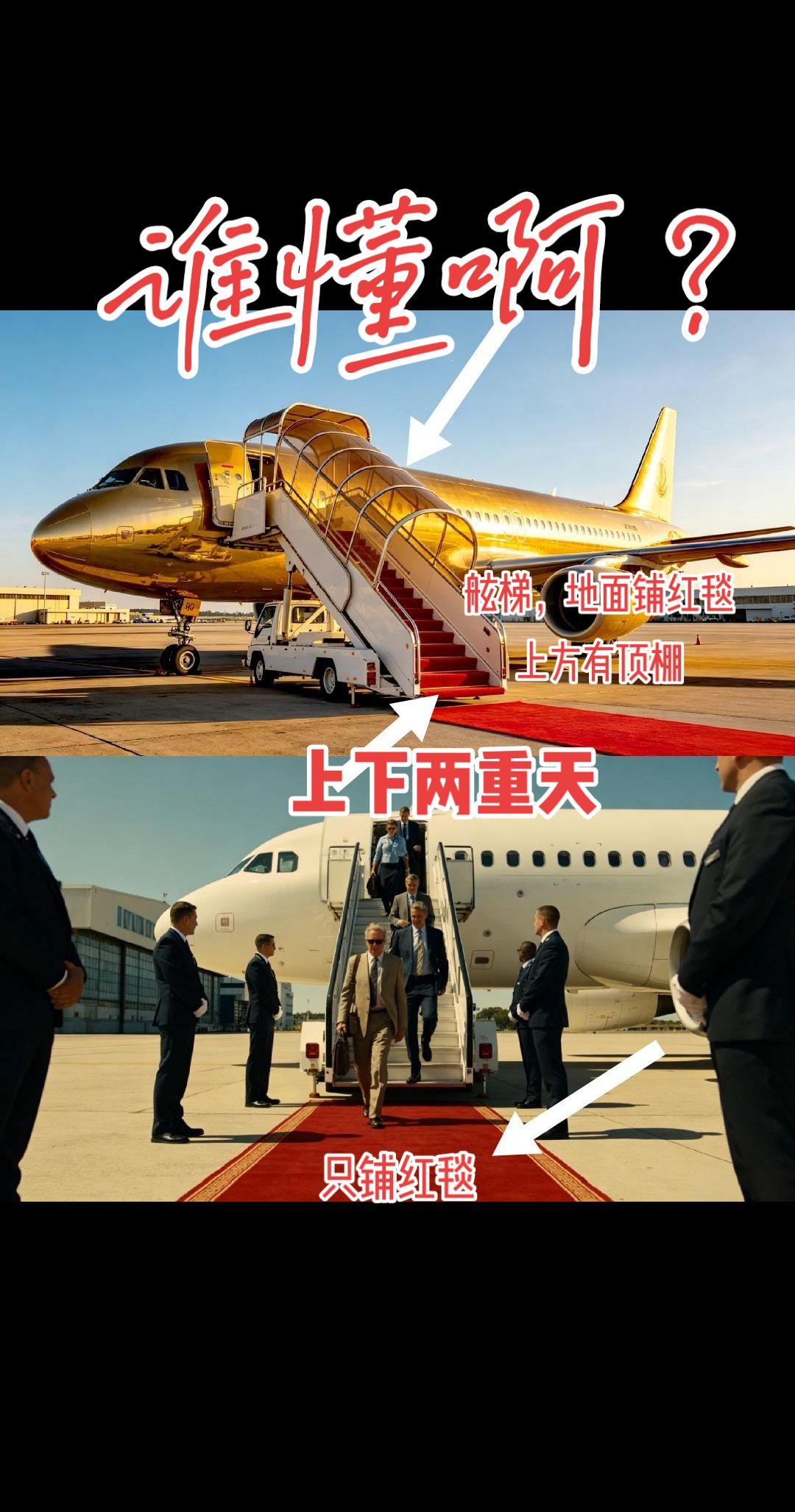 涨知识了！
飞机 热门 你知道吗 涨知识