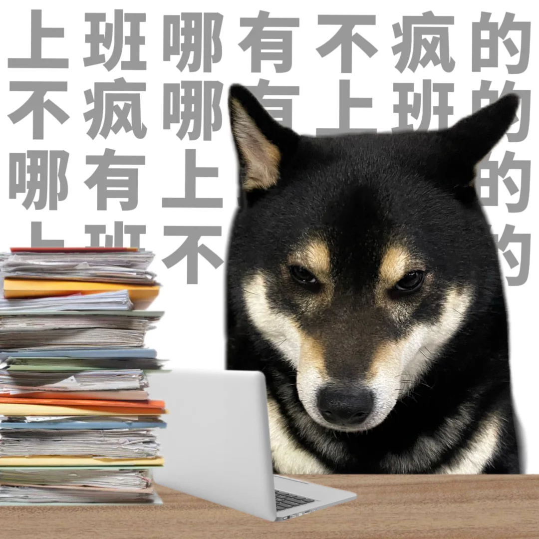 生活呢～劳劳劳逸结合啦～😌