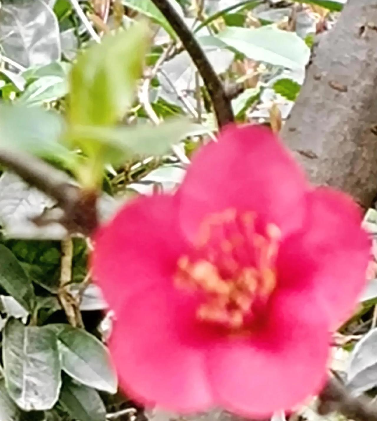 《踏歌而行》之<路过你的世界>⑦

看着他离去的背影，我却在心里暗自嘀咕---下
