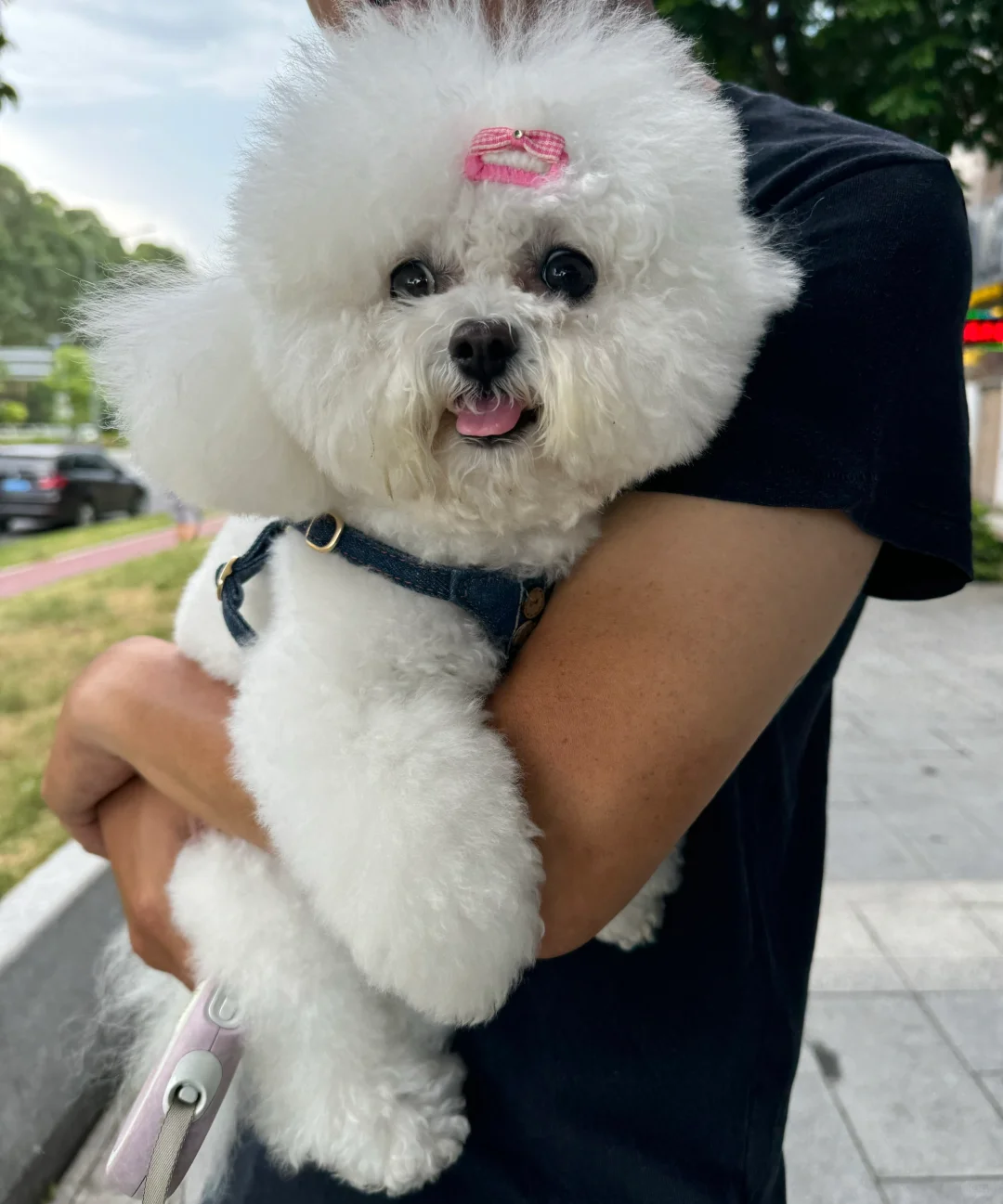 我爱笑的宝贝……