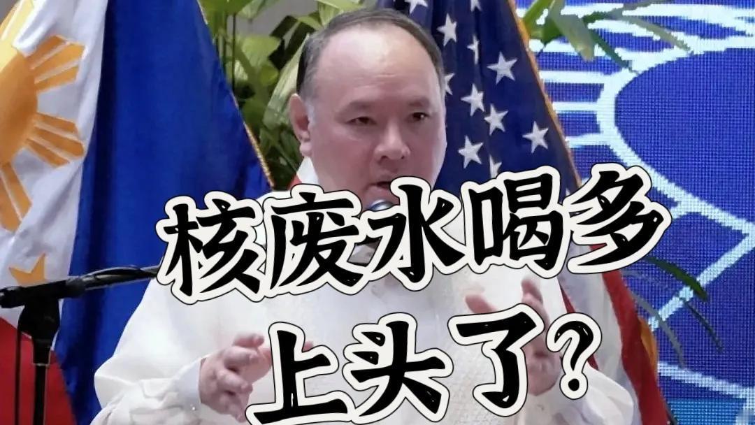 中国制裁菲律宾国防部长特奥多罗及其家人给全世界那些不怀好意、拿中国说事找存在感政
