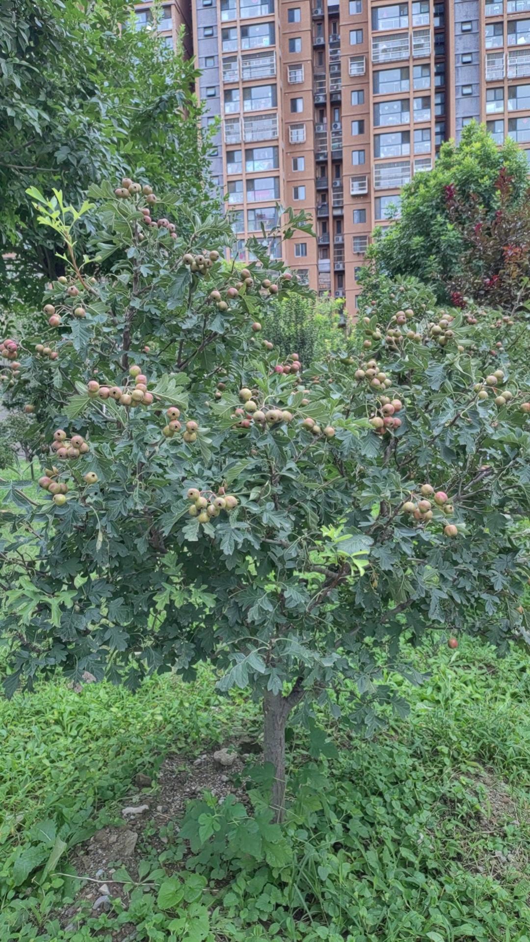 现实中找个精神共鸣的人说说话太难了，都不是那个年纪了，突然热情，倒显得目的不纯，