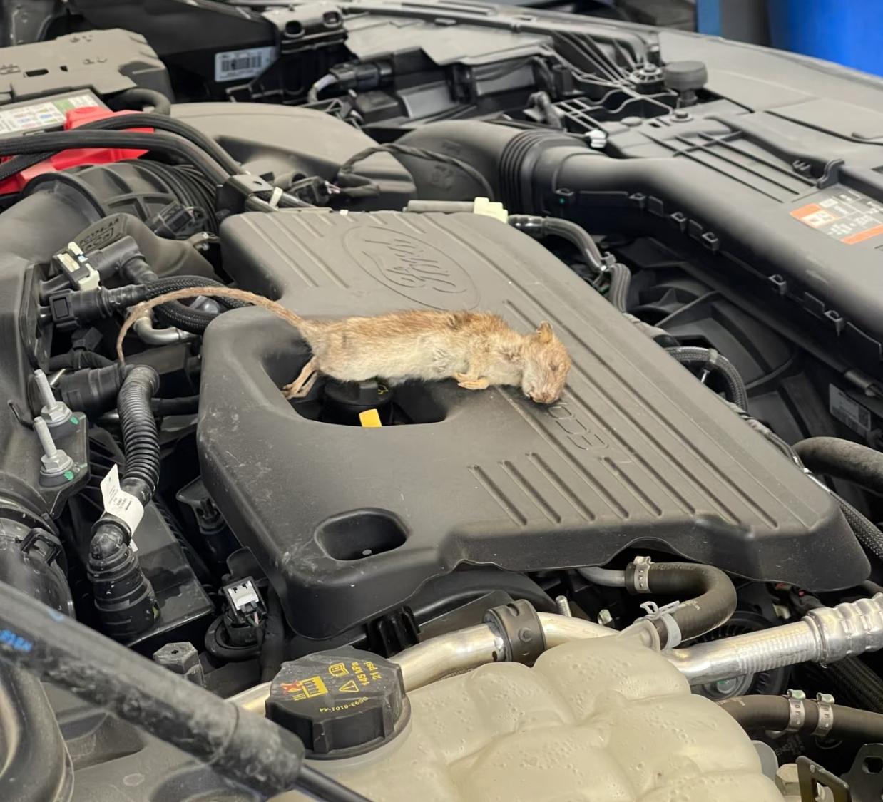 你以为把车停在小区楼下就安全了？最近杭州一位理想L8车主彻底破防——30多万的“