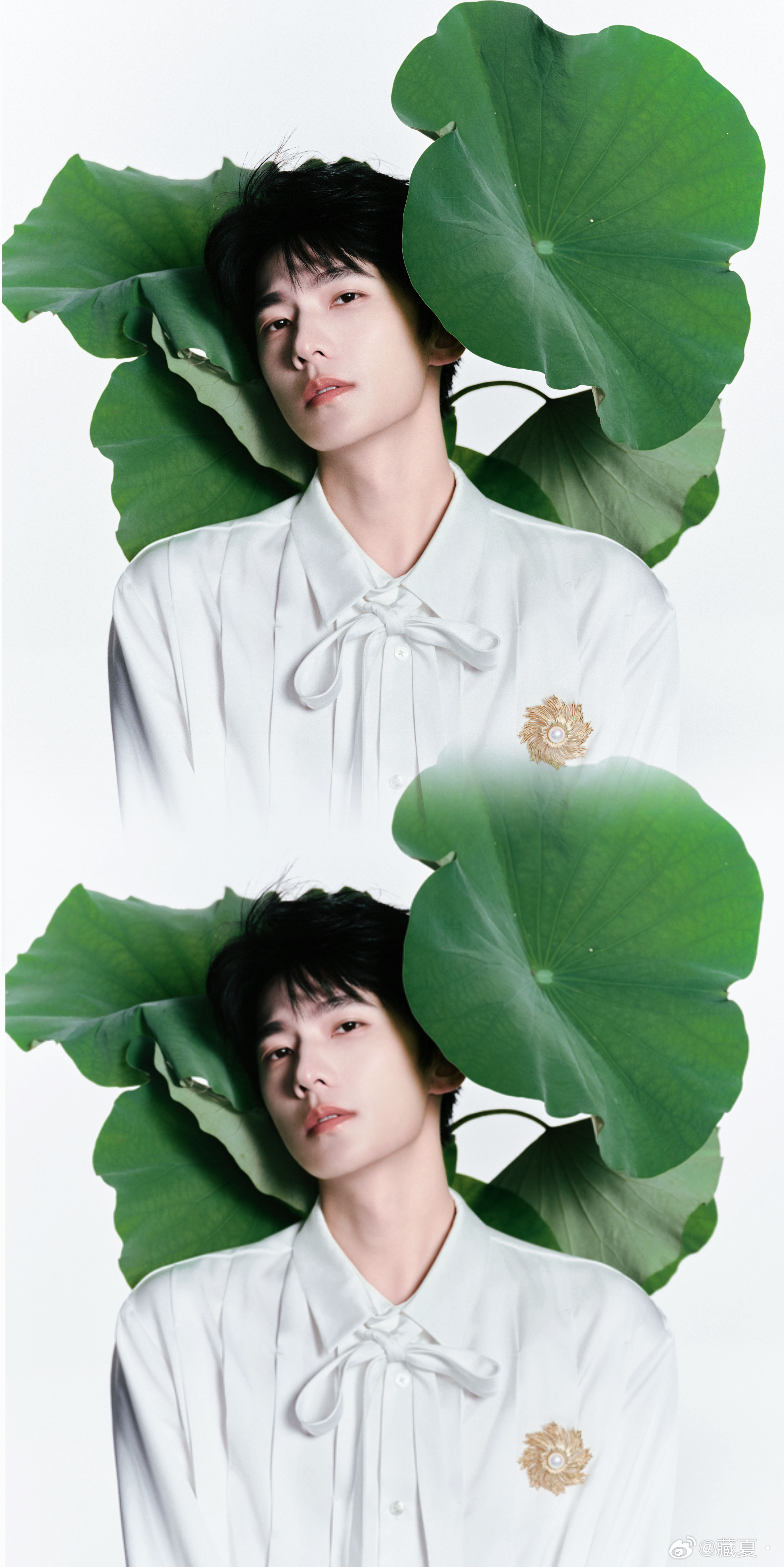 杨洋[超话]杨洋不用等太9聊天室       藏夏  藏夏​​​