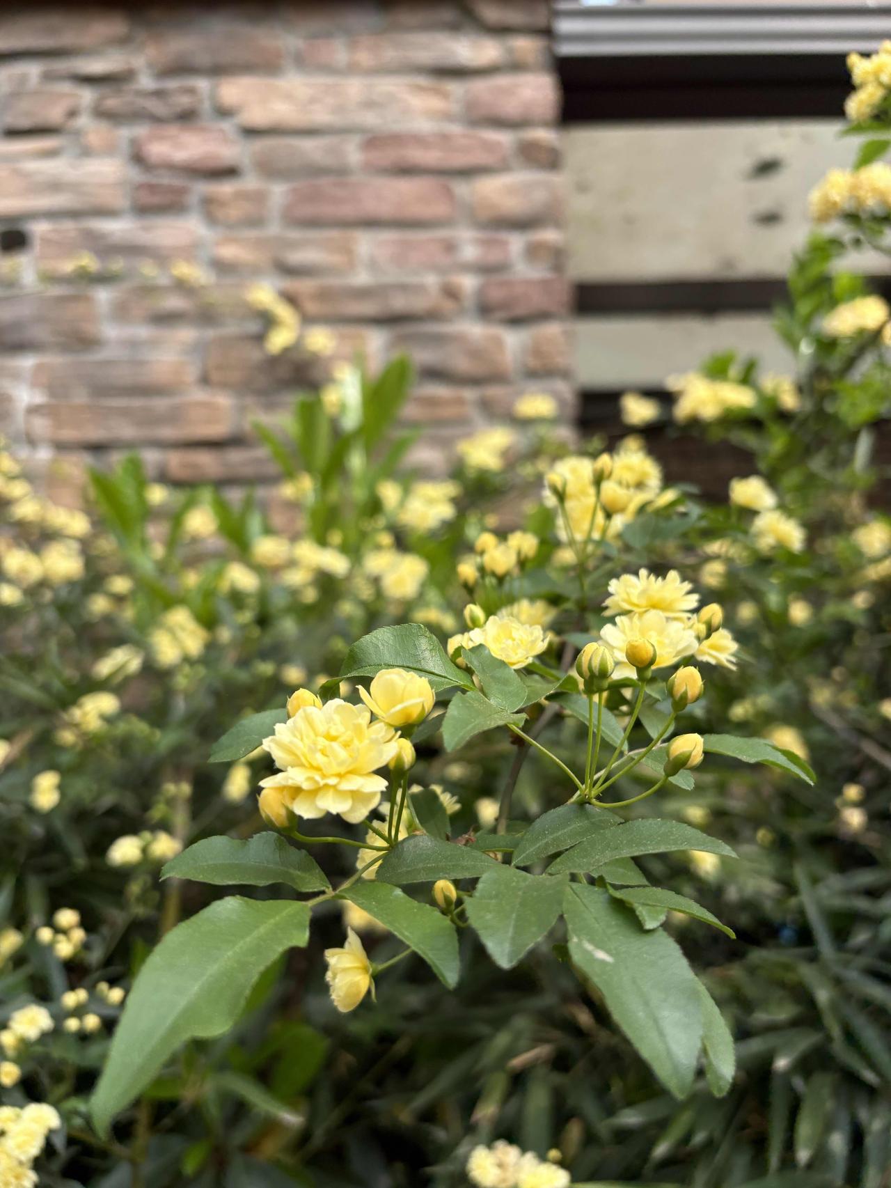 今年春天最想实现的心愿