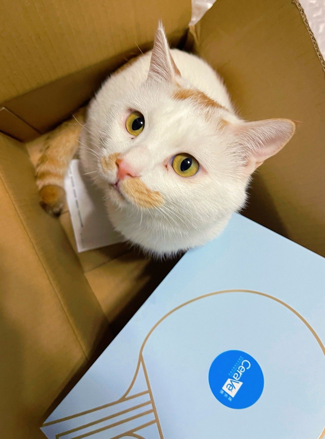 樊振东 适乐肤开箱 今天还是麦师傅来开箱～配色我太喜欢了，清爽怡人。麦师傅对樊振