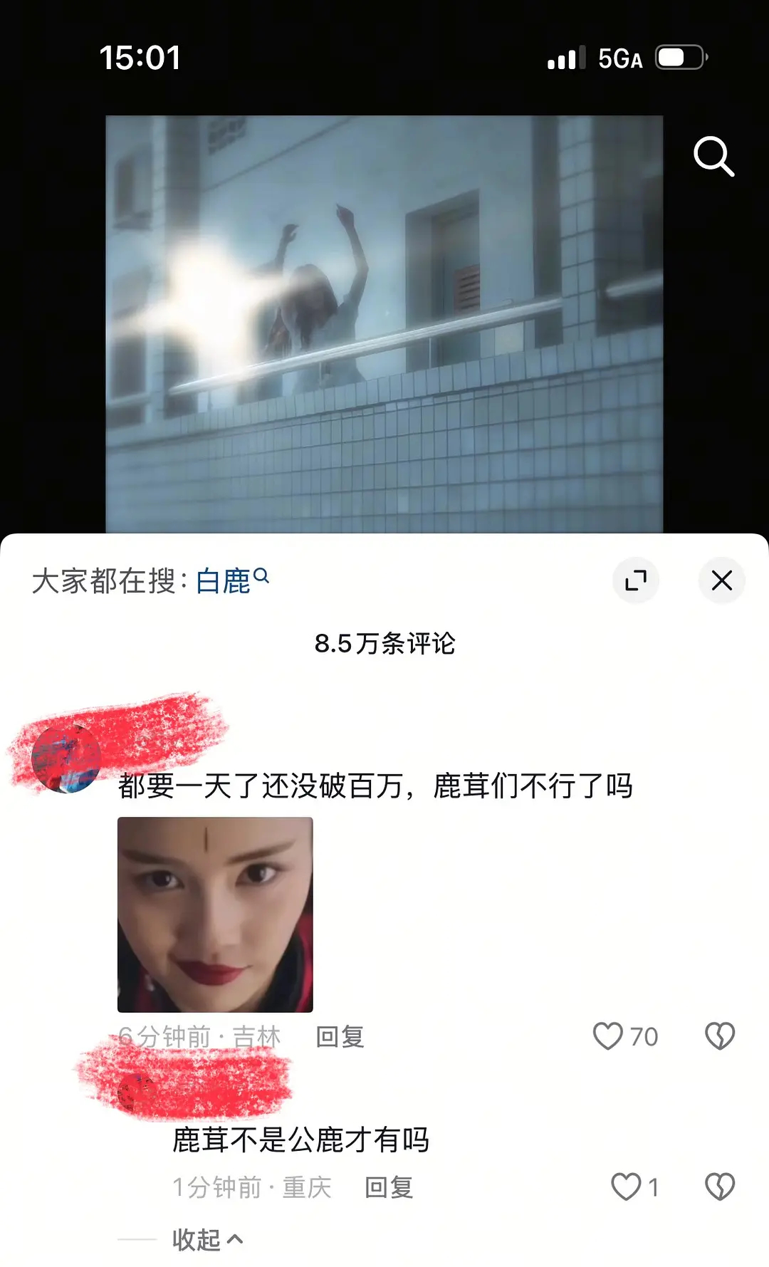 白鹿的粉丝都学聪明了啊，评论区表现都不错 