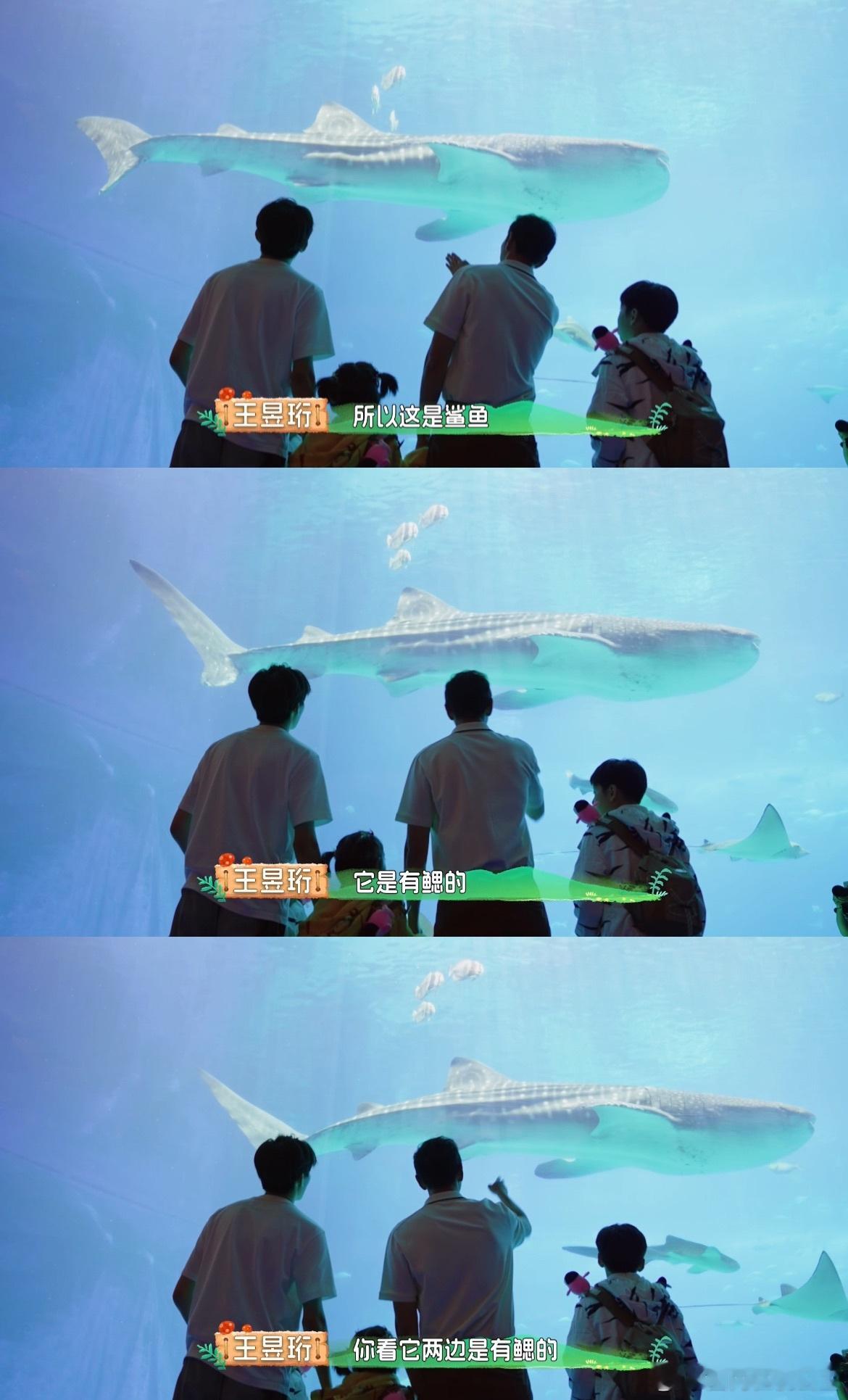 #自然学院林开播#我们看得出来两个人真的是完全不知所措了，也这也是肉眼可见的慌张