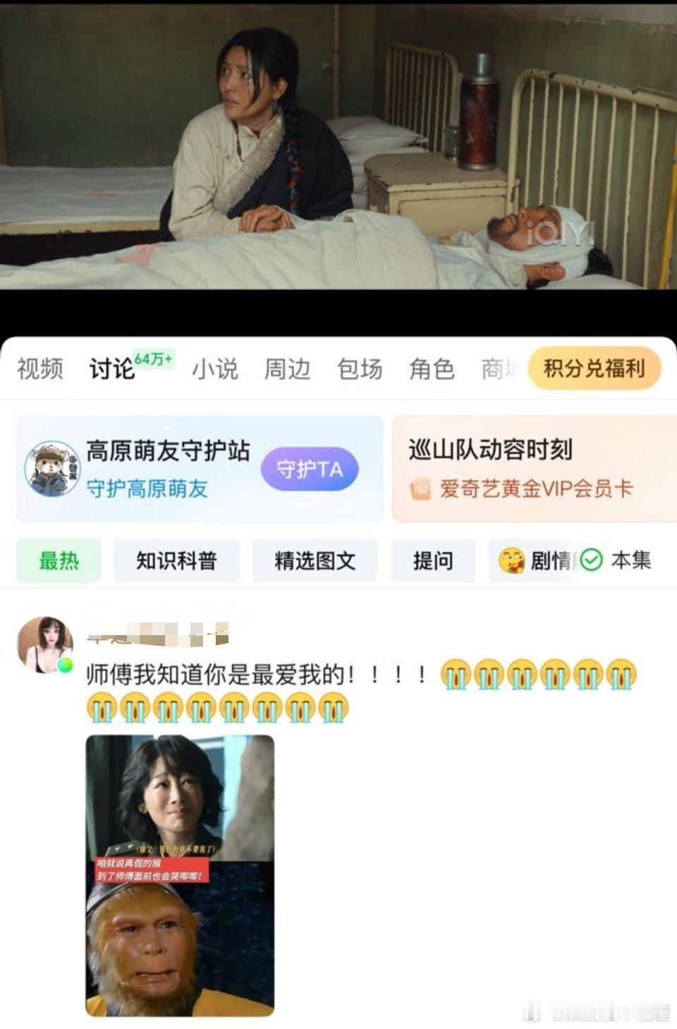 杨紫胡歌现实版孤勇者 我不行了，评论区的鬼才太会找图了，本来看白菊哭兮兮，我还共
